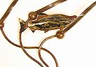 Link To Small Wall-Hanging Kelp, Tidal-Flow, with Salmon